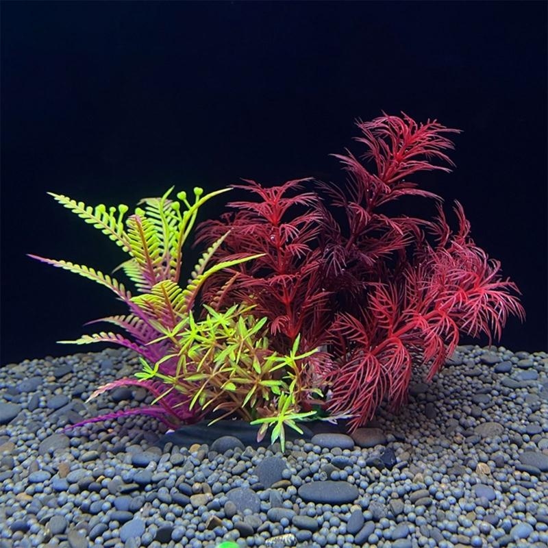 Aquarium Fish For Sale - Decoración de acuario Artificial, planta, decoración