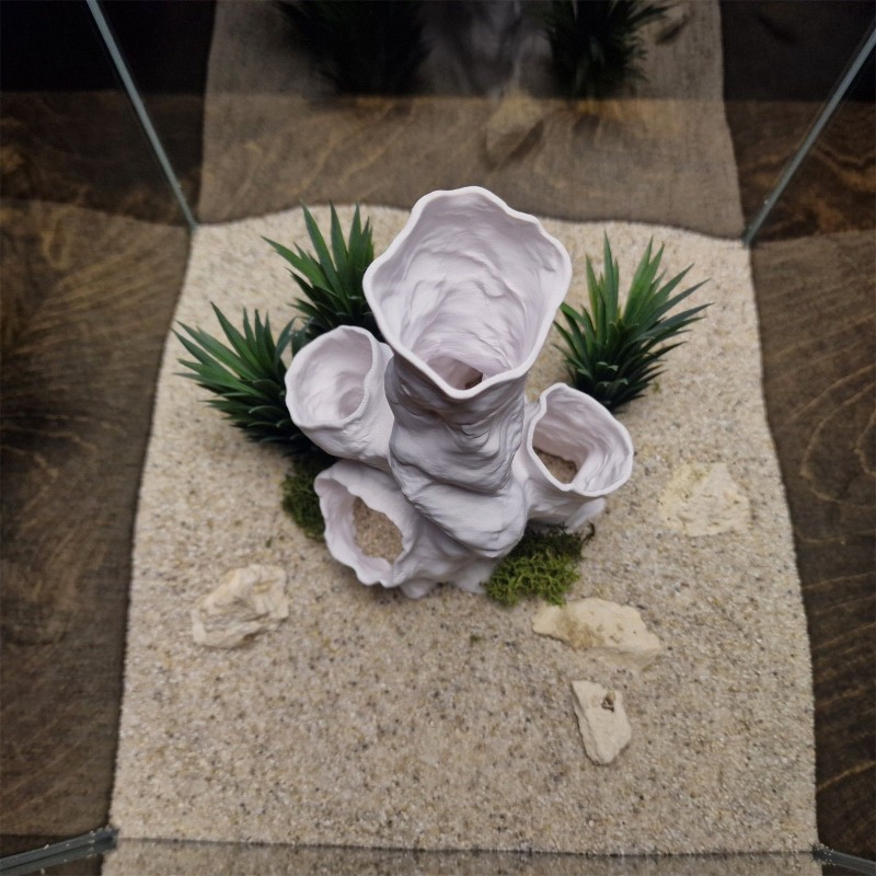 Aquarium Fish For Sale - Oferta Especial: Decoración Impresa en 3D