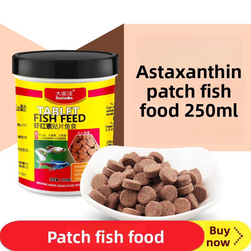 Tetra Fish In Aquarium - DaJiaWa-tableta de alimentación de peces tropicales,