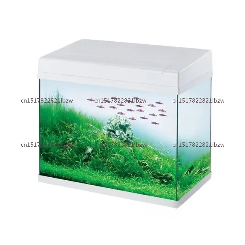 Aquarium Fish Glass - Acuario de Vidrio, Mini Pecera para