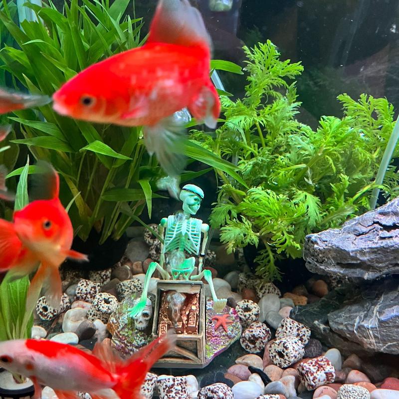 Aquarium Fish Tank Price - Bomba de aire de burbujas de
