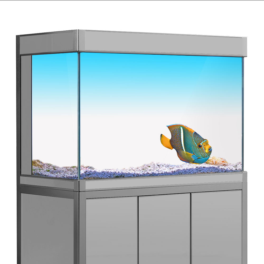 Aquarium Fish Yellow - Pegatina de fondo de pecera, papel
