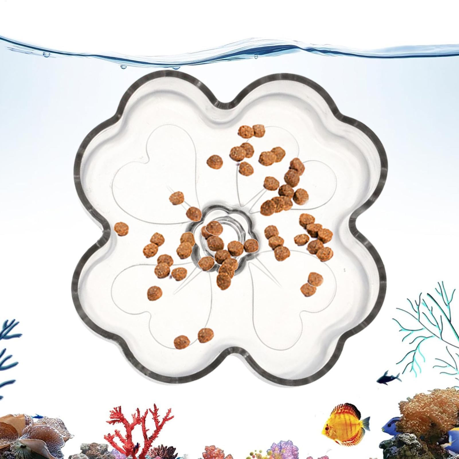 Tetra Fish In Aquarium - Comedero para Acuario con Ventosa, Plato