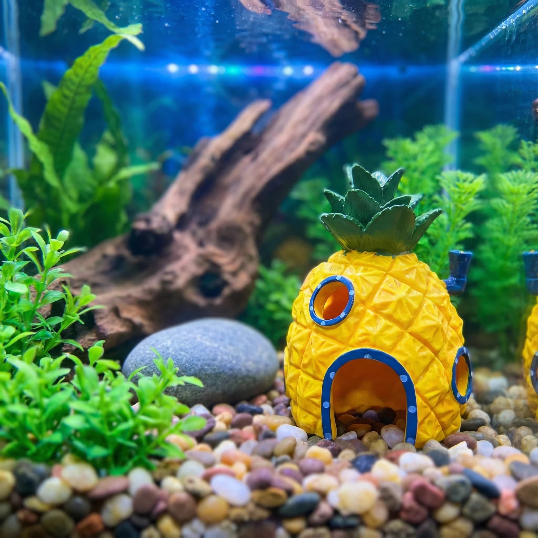 Aquarium Fish Games - Decoración para Acuario Pineapple House, Cueva
