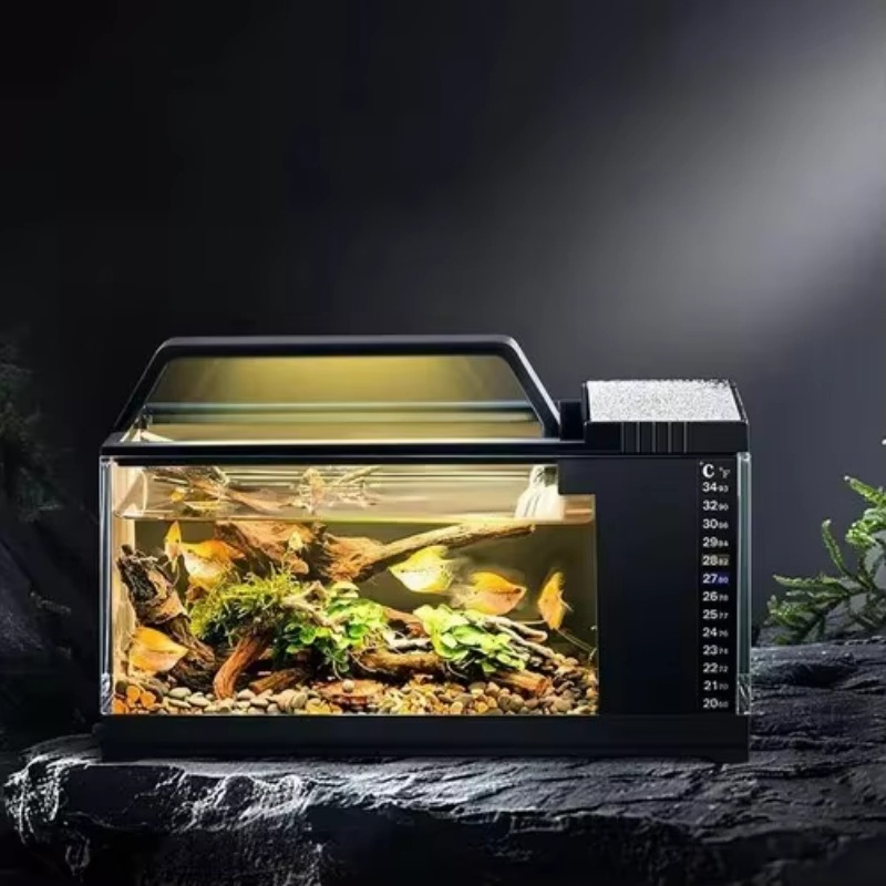 Aquarium Fish Low Maintenance - Acuario estilo sudamericano: pecera de escritorio
