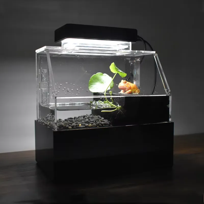 Aquarium Fish For Sale - Relaxlines Acuario de Escritorio Personalizado, Mini