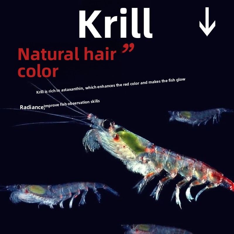 Alimento para Peces en Micrope - Tetra Fish In Aquarium reseña y precio