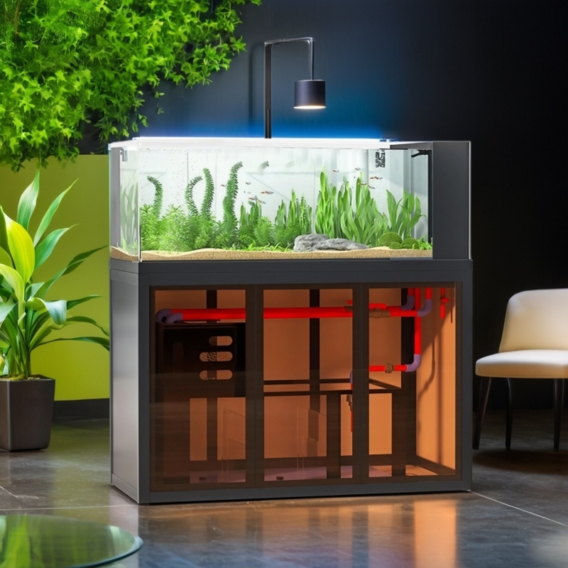 Acuario de estilo industrial,  - Aquarium Fish Low Maintenance reseña y precio