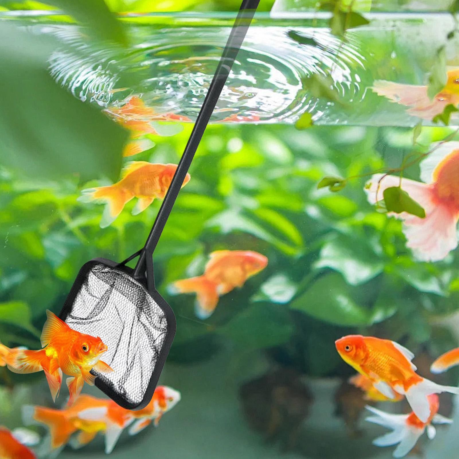 Redes de limpieza para piscina - Aquarium Fish Tank Cleaner reseña y precio