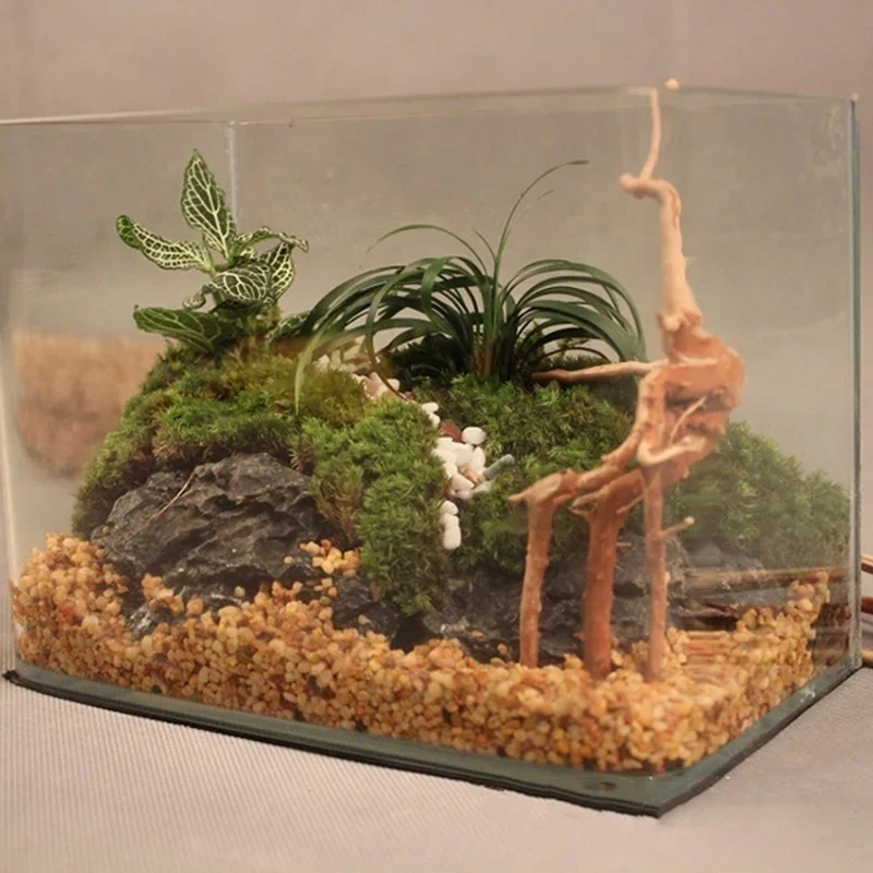 Tronco de árbol Natural de mad - Aquarium Fish Games reseña y precio