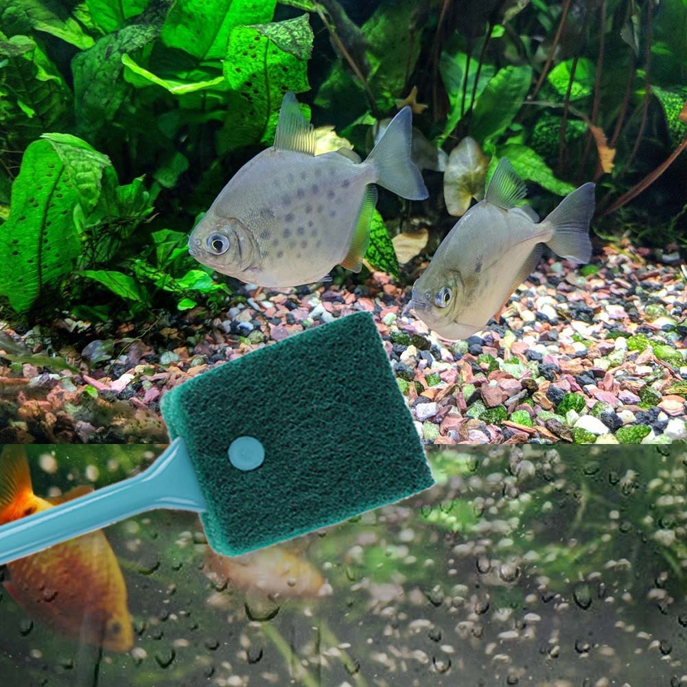 Limpiador de esponja para acua - Aquarium Fish Tank Cleaner reseña y precio