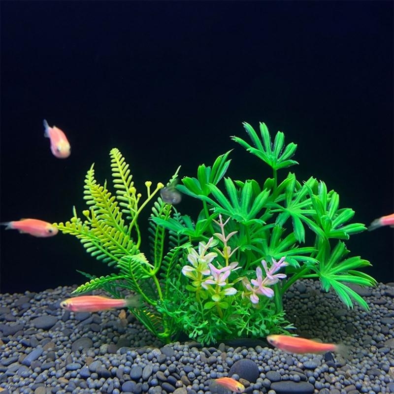 Decoración de acuario Artifici - Aquarium Fish For Sale reseña y precio