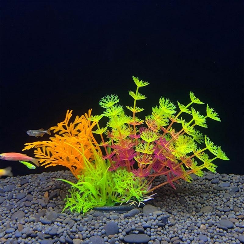 Decoración de acuario Artifici - Aquarium Fish For Sale reseña y precio