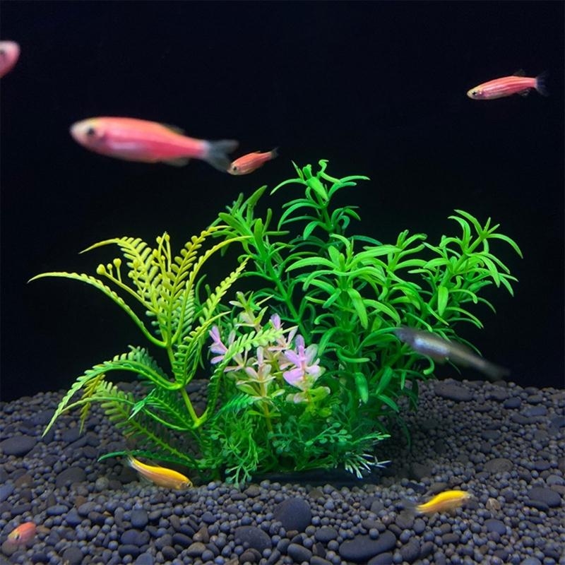 Decoración de acuario Artifici - Aquarium Fish For Sale reseña y precio