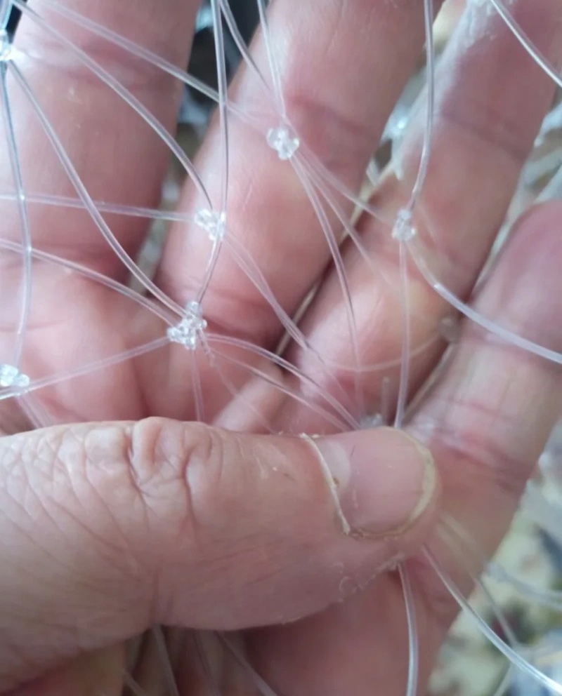 Red de pesca de doble línea de - Fish Net Handle reseña y precio