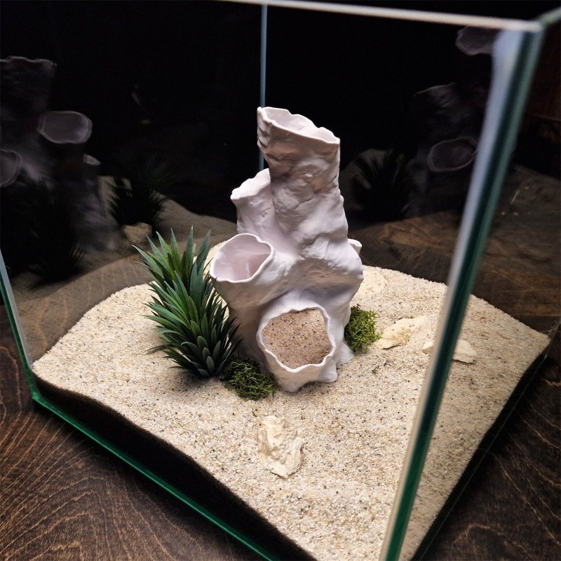 Oferta Especial: Decoración Im - Aquarium Fish For Sale reseña y precio