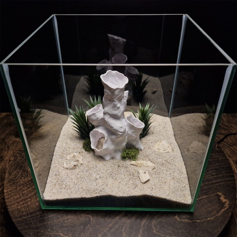 Oferta Especial: Decoración Im - Aquarium Fish For Sale reseña y precio