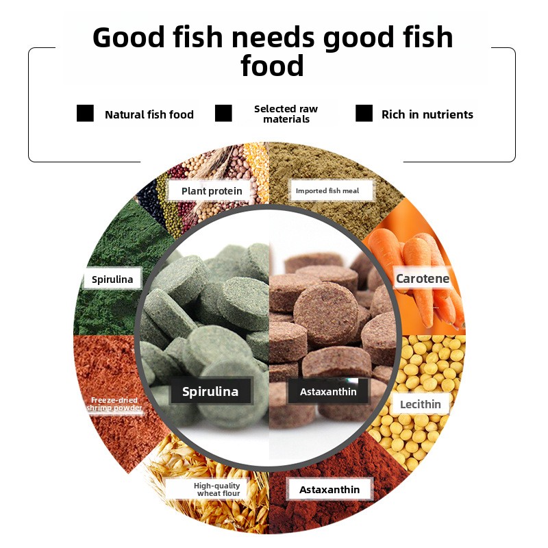 DaJiaWa-tableta de alimentació - Tetra Fish In Aquarium reseña y precio
