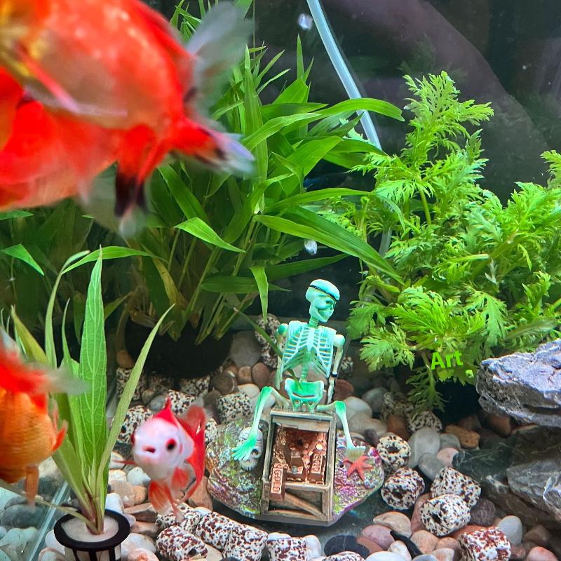 Bomba de aire de burbujas de p - Aquarium Fish Tank Price reseña y precio