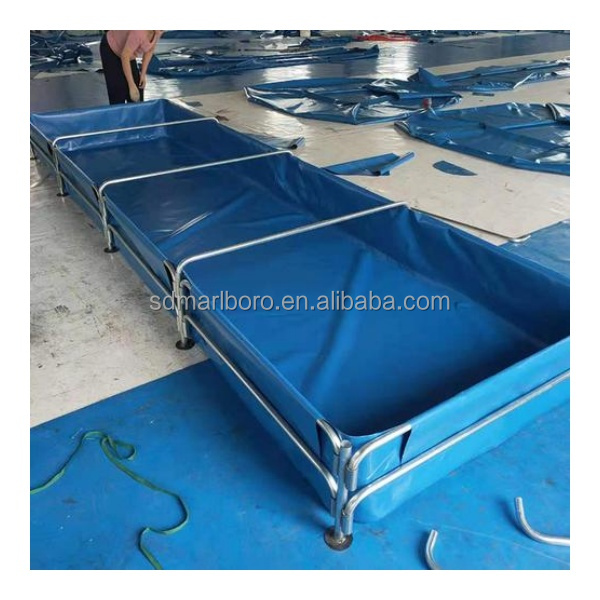 Acuarios Cuadrados Transparent - Aquarium Fish For Sale reseña y precio