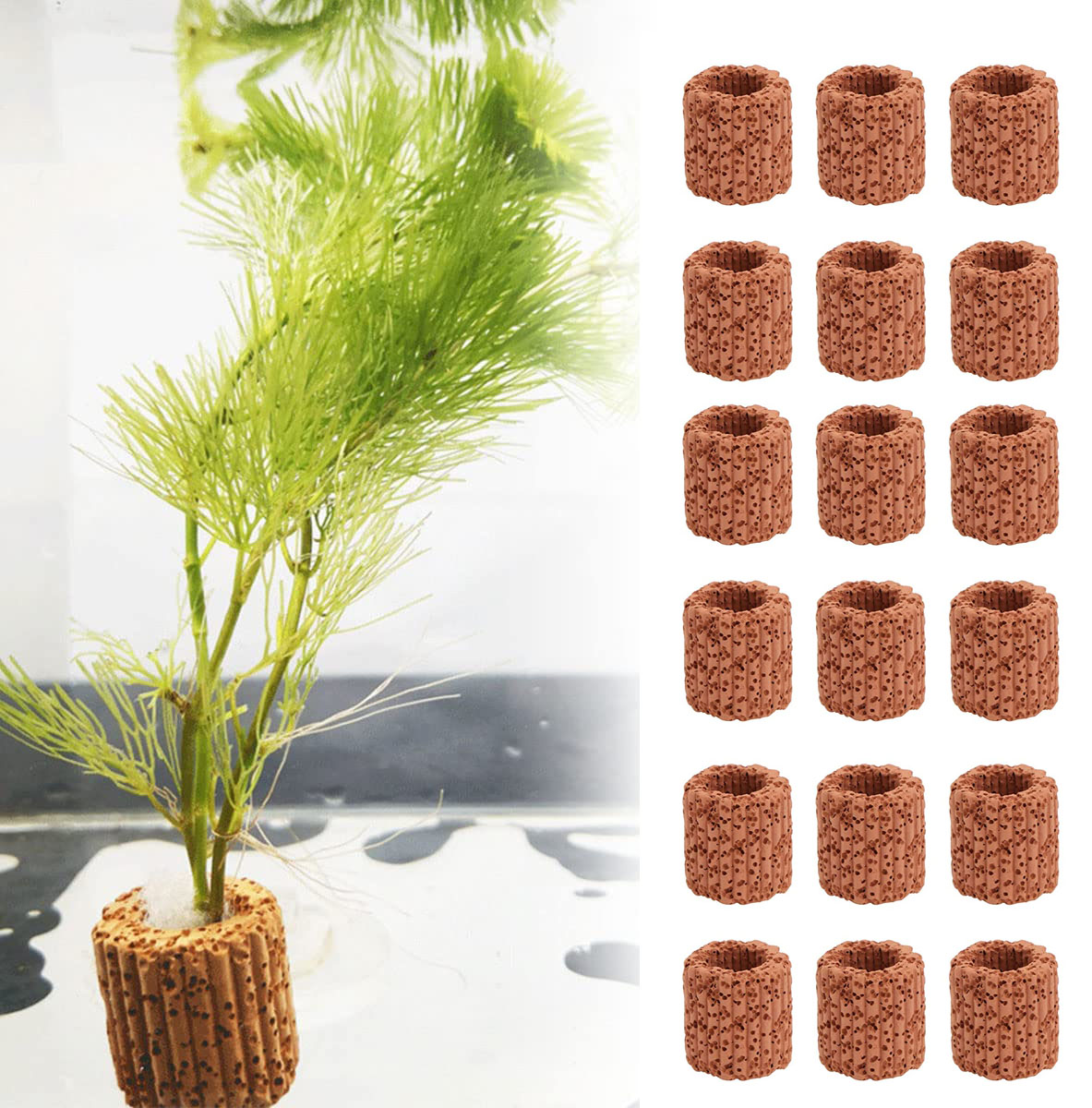 Anillo fijo para plantas acuát - Aquarium Fish Tank Price reseña y precio