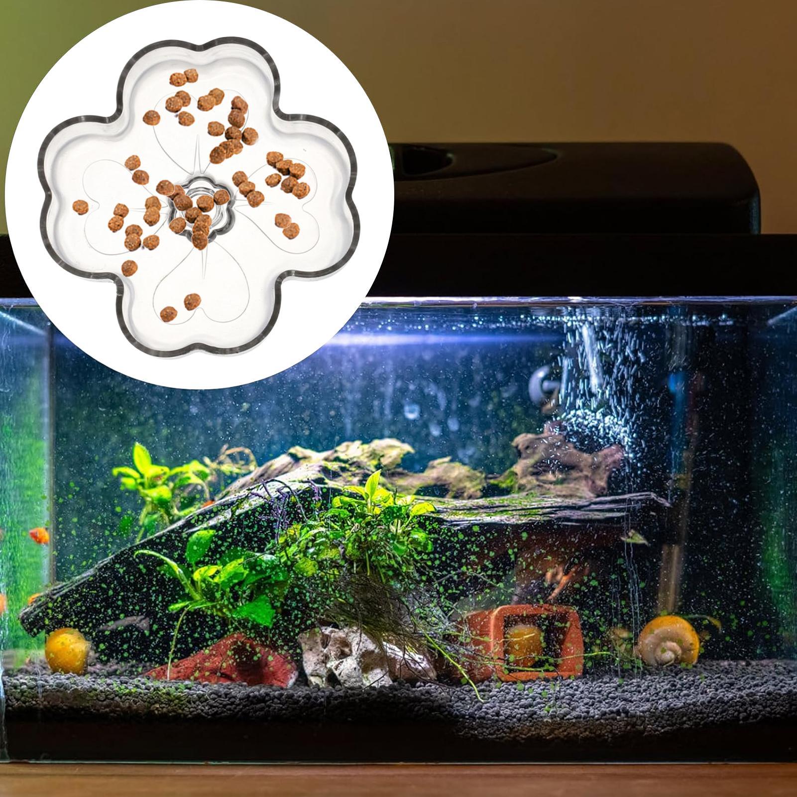 Comedero para Acuario con Vent - Tetra Fish In Aquarium reseña y precio
