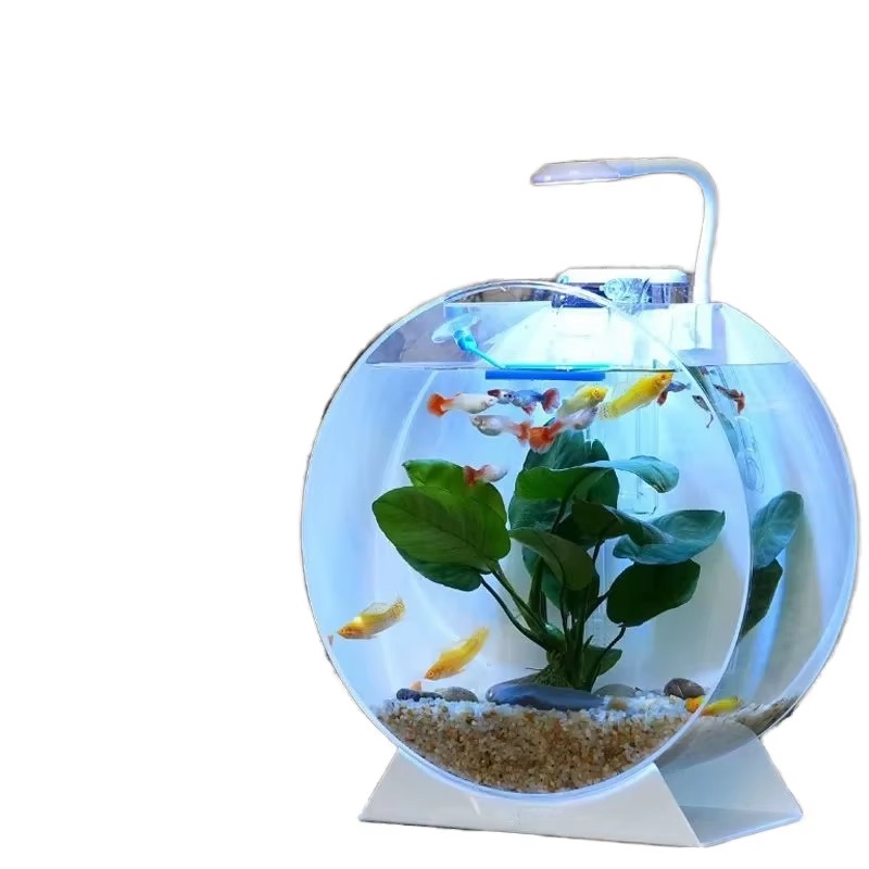 Gran oferta, peceras acrílicas - Aquarium Fish For Sale reseña y precio