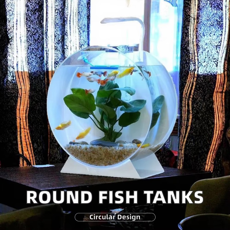 Gran oferta, peceras acrílicas - Aquarium Fish For Sale reseña y precio