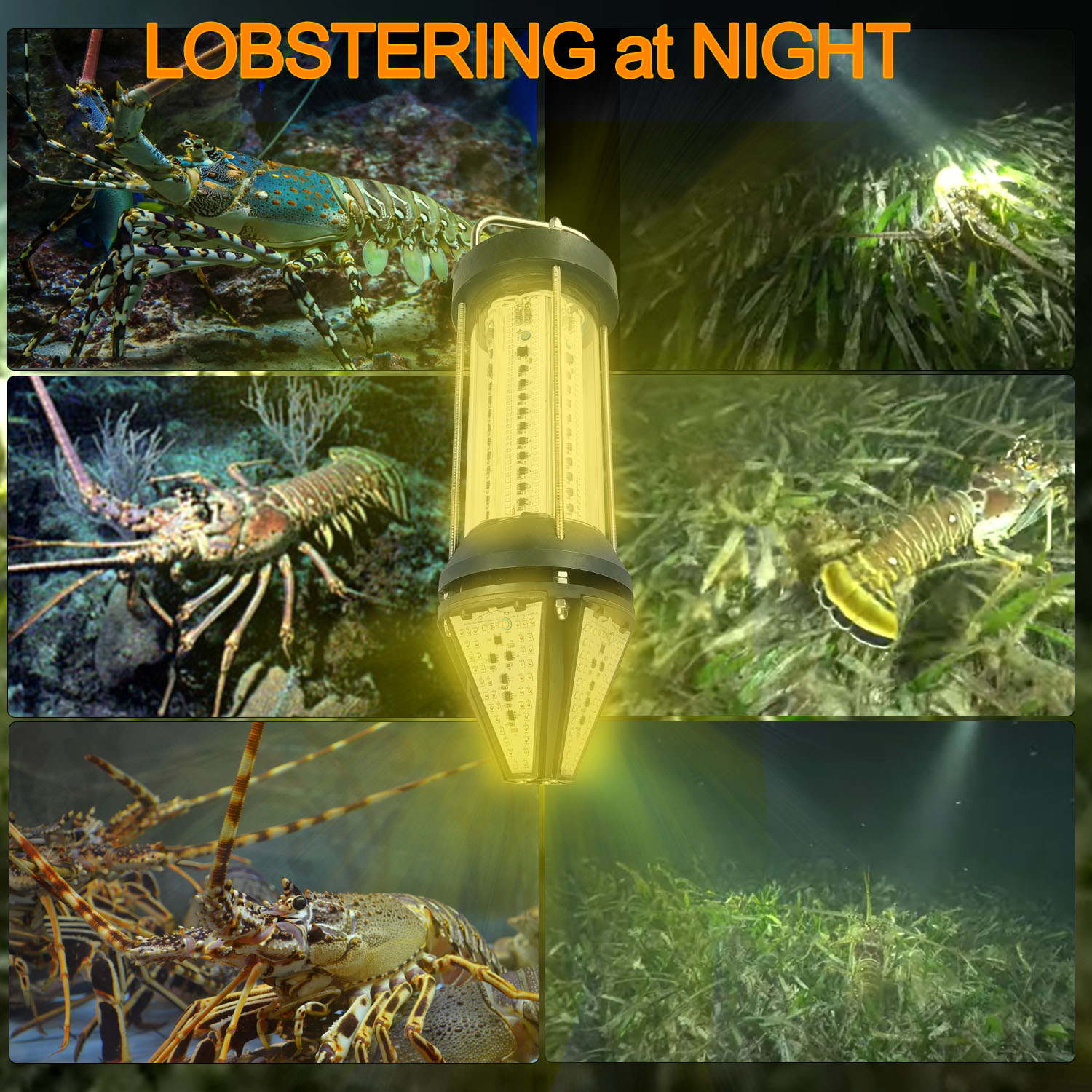 Luz de Pesca Submarina para Ex - Aquarium Fish Yellow reseña y precio