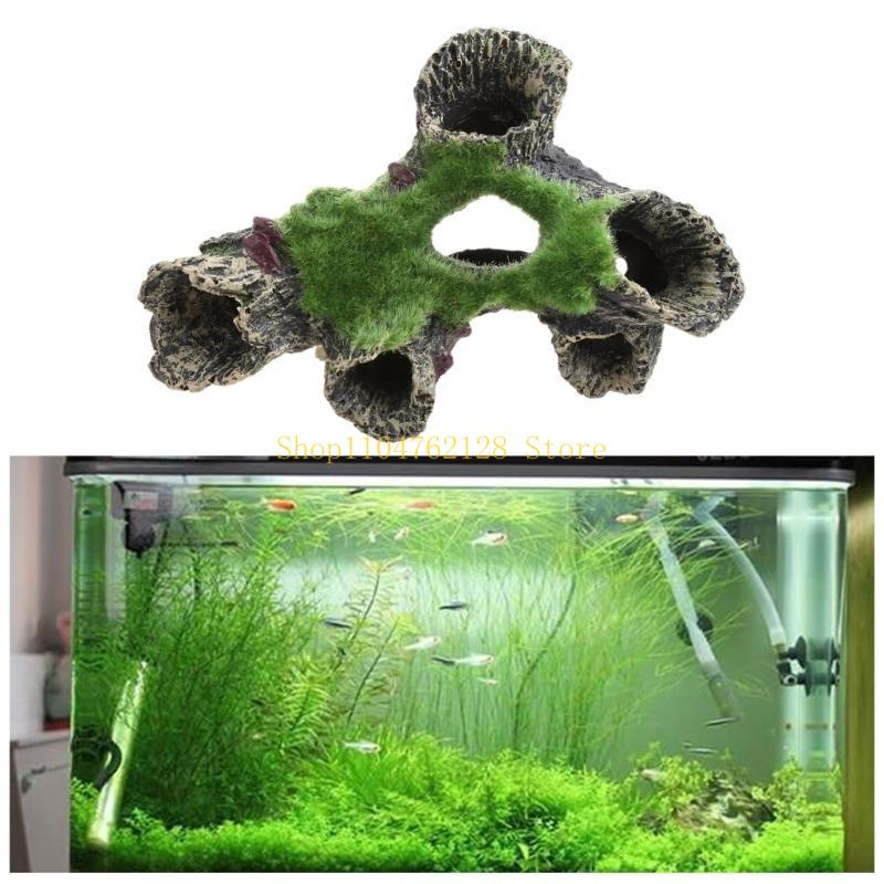 Peces para decoración tanques, - Aquarium Fish For Sale reseña y precio