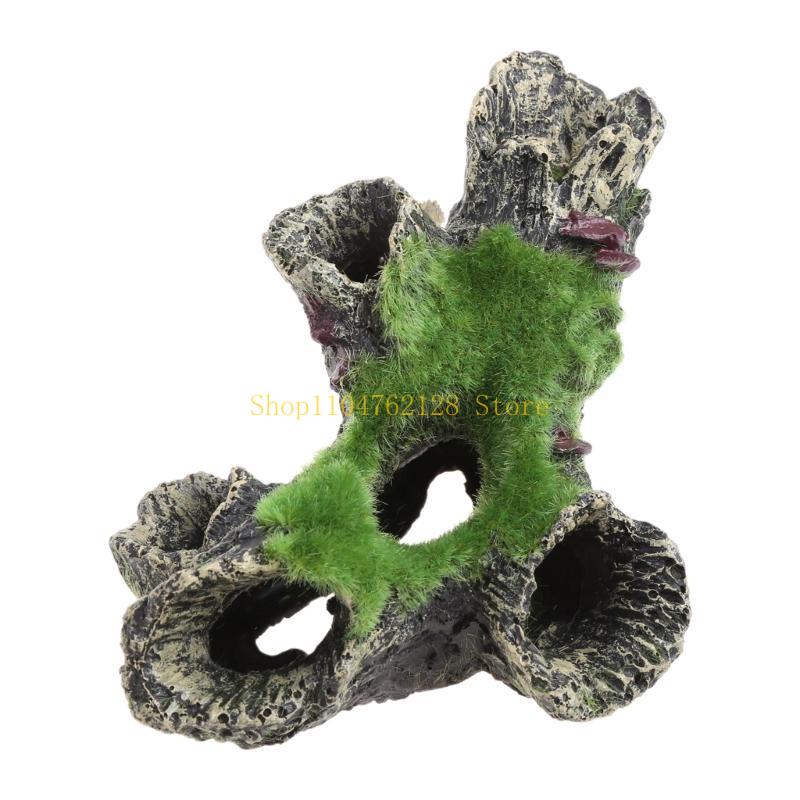 Peces para decoración tanques, - Aquarium Fish For Sale reseña y precio