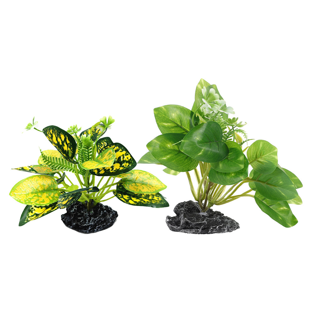 2 Piezas de Plantas Acuáticas  - Aquarium Fish Low Maintenance reseña y precio
