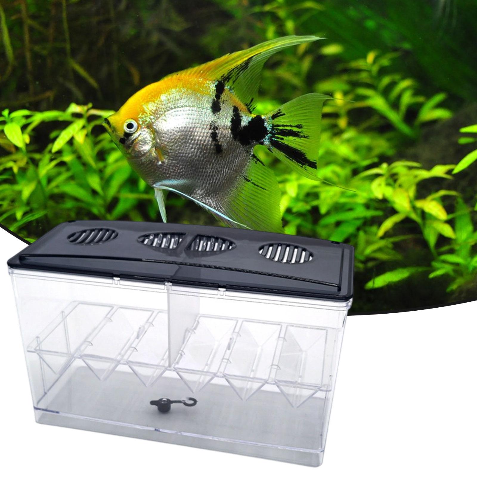 Caja de aislamiento flotante p - Aquarium Fish Tank Cleaner reseña y precio