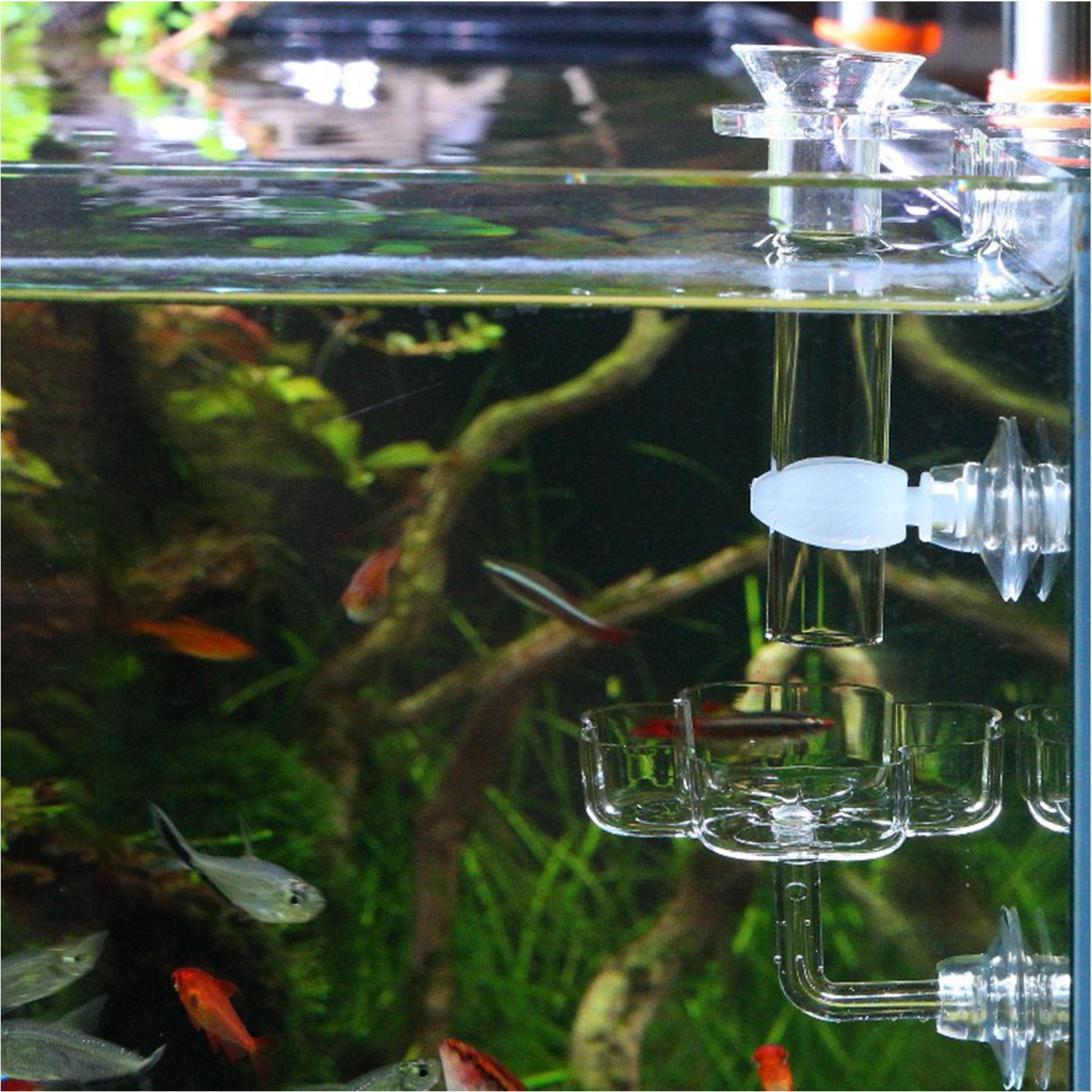 Comedero para Acuario con Vent - Tetra Fish In Aquarium reseña y precio