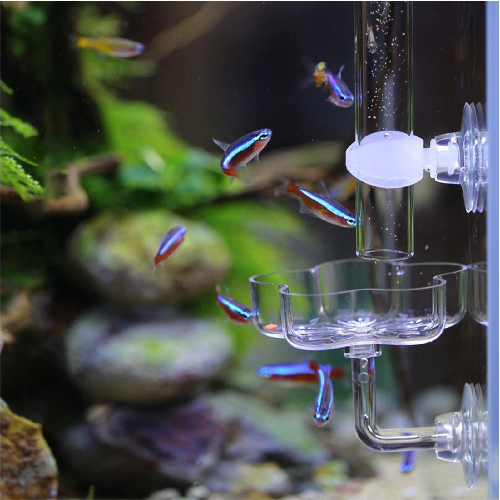 Comedero para Acuario con Vent - Tetra Fish In Aquarium reseña y precio