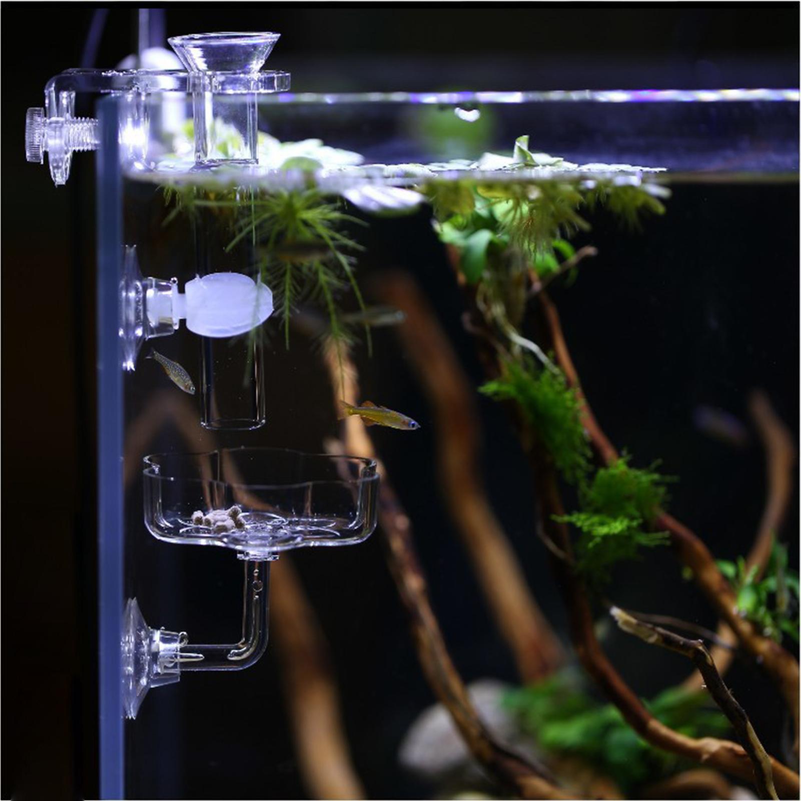 Comedero para Acuario con Vent - Tetra Fish In Aquarium reseña y precio