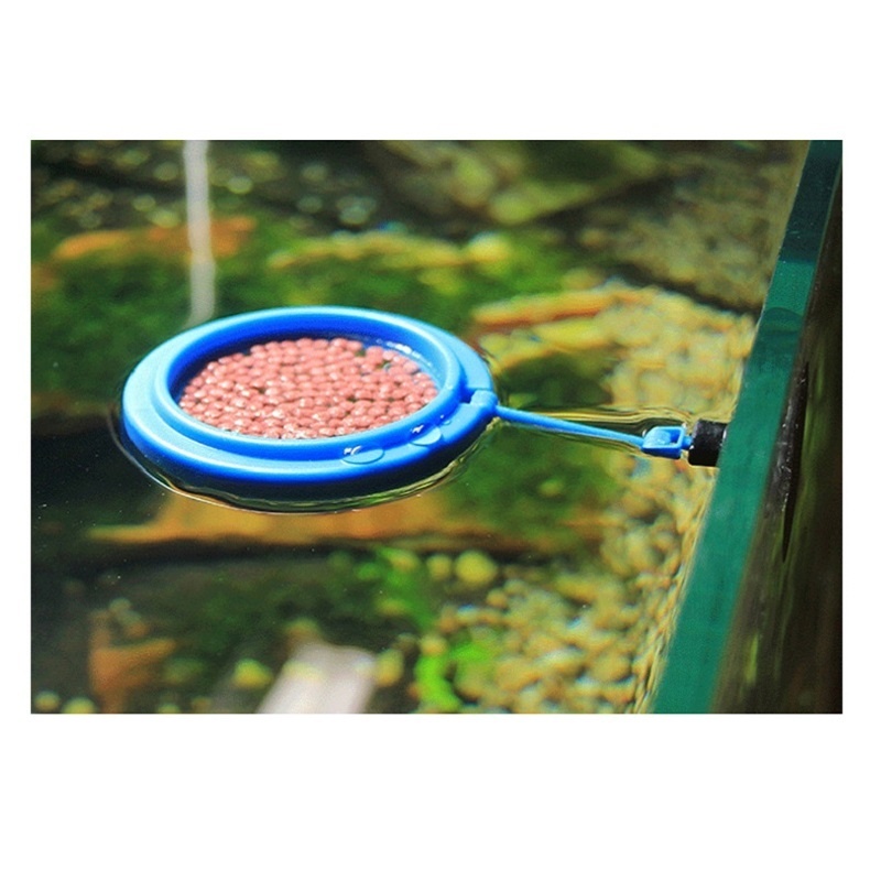 Anillo de alimentación para pe - Tetra Fish In Aquarium reseña y precio