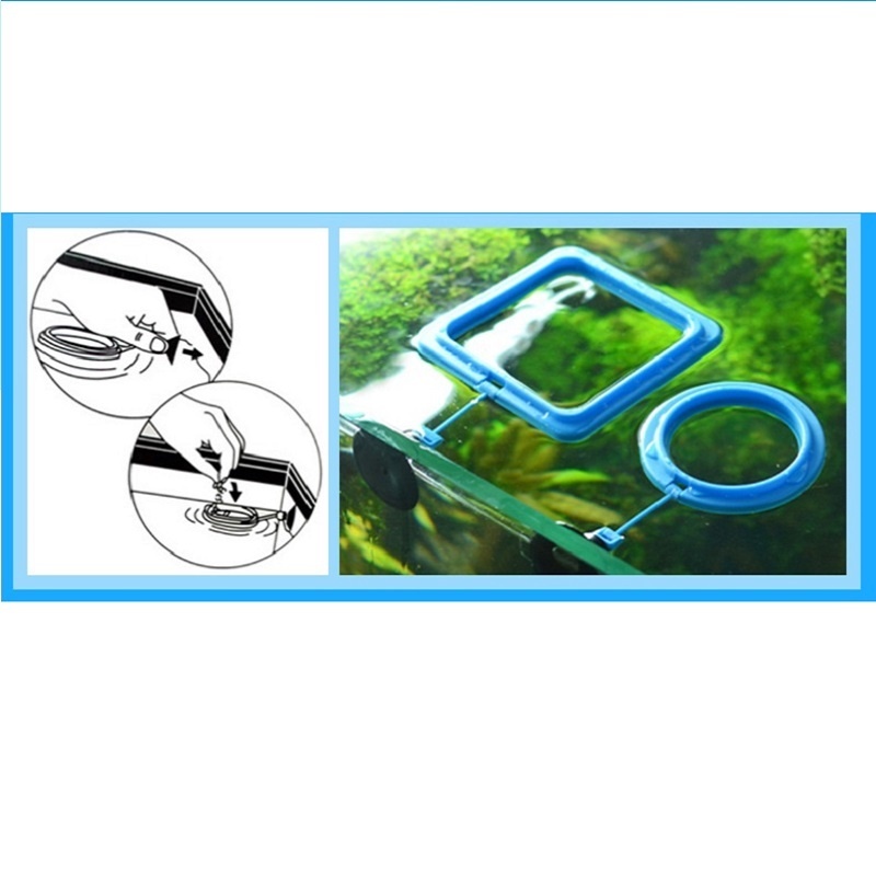 Anillo de alimentación para pe - Tetra Fish In Aquarium reseña y precio