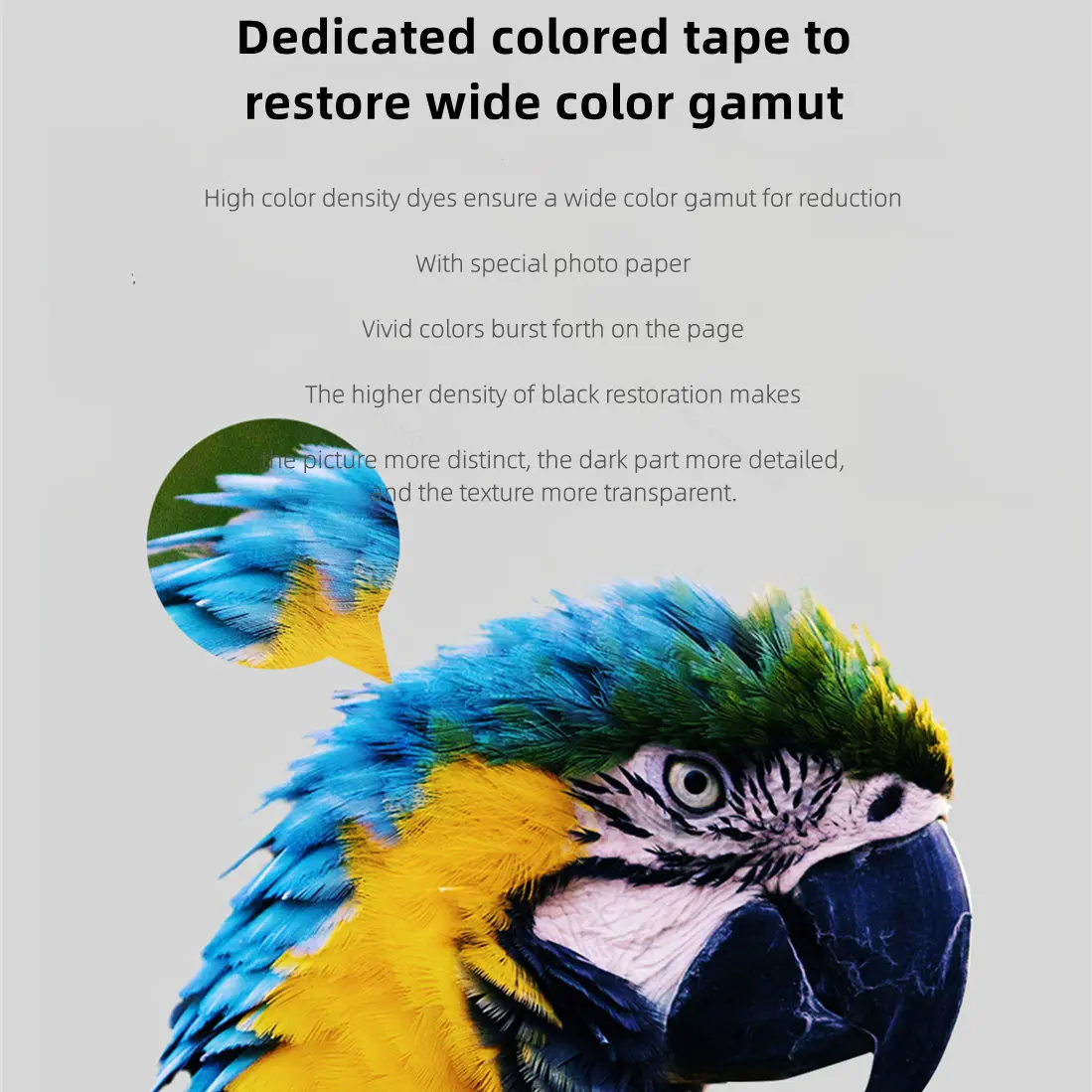 Impresora fotográfica MIjia, j - Aquarium Xiaomi reseña y precio