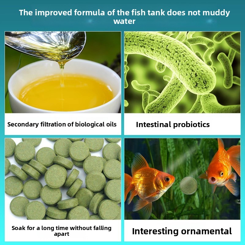 CMomo Almohadillas adhesivas p - Tetra Fish In Aquarium reseña y precio