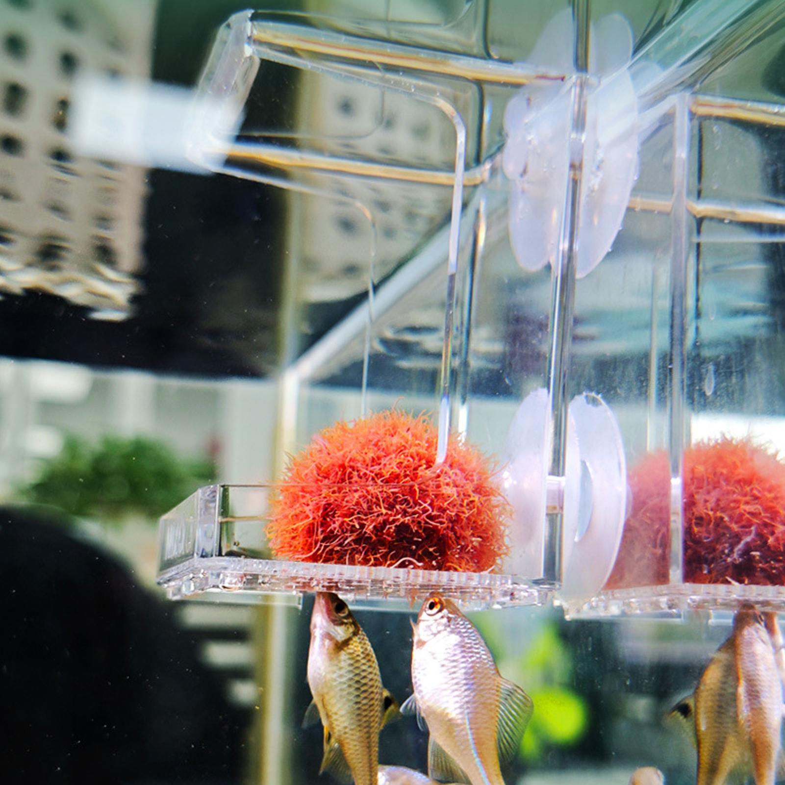 Comedero para Acuario con Vent - Tetra Fish In Aquarium reseña y precio