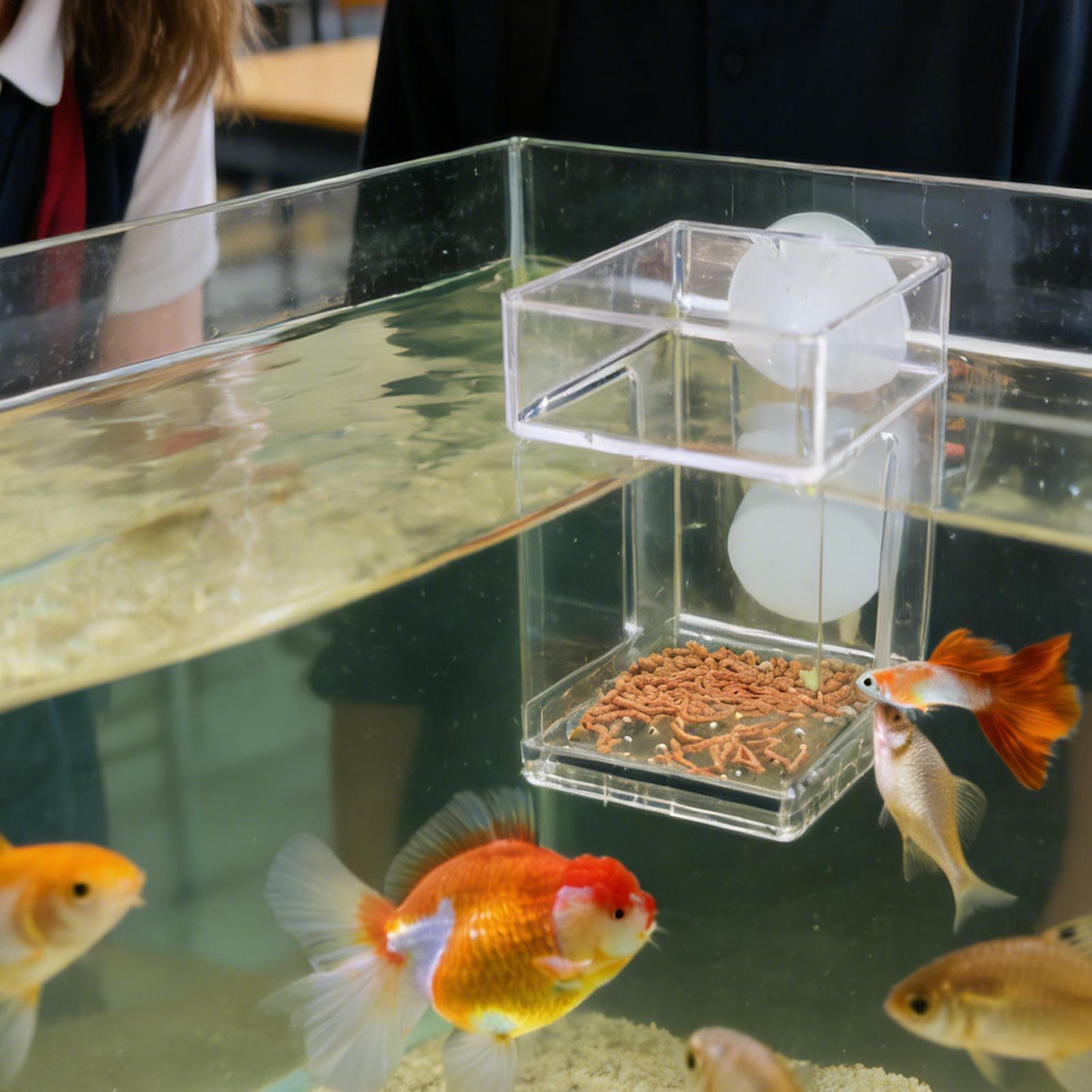 Comedero para Acuario con Vent - Tetra Fish In Aquarium reseña y precio