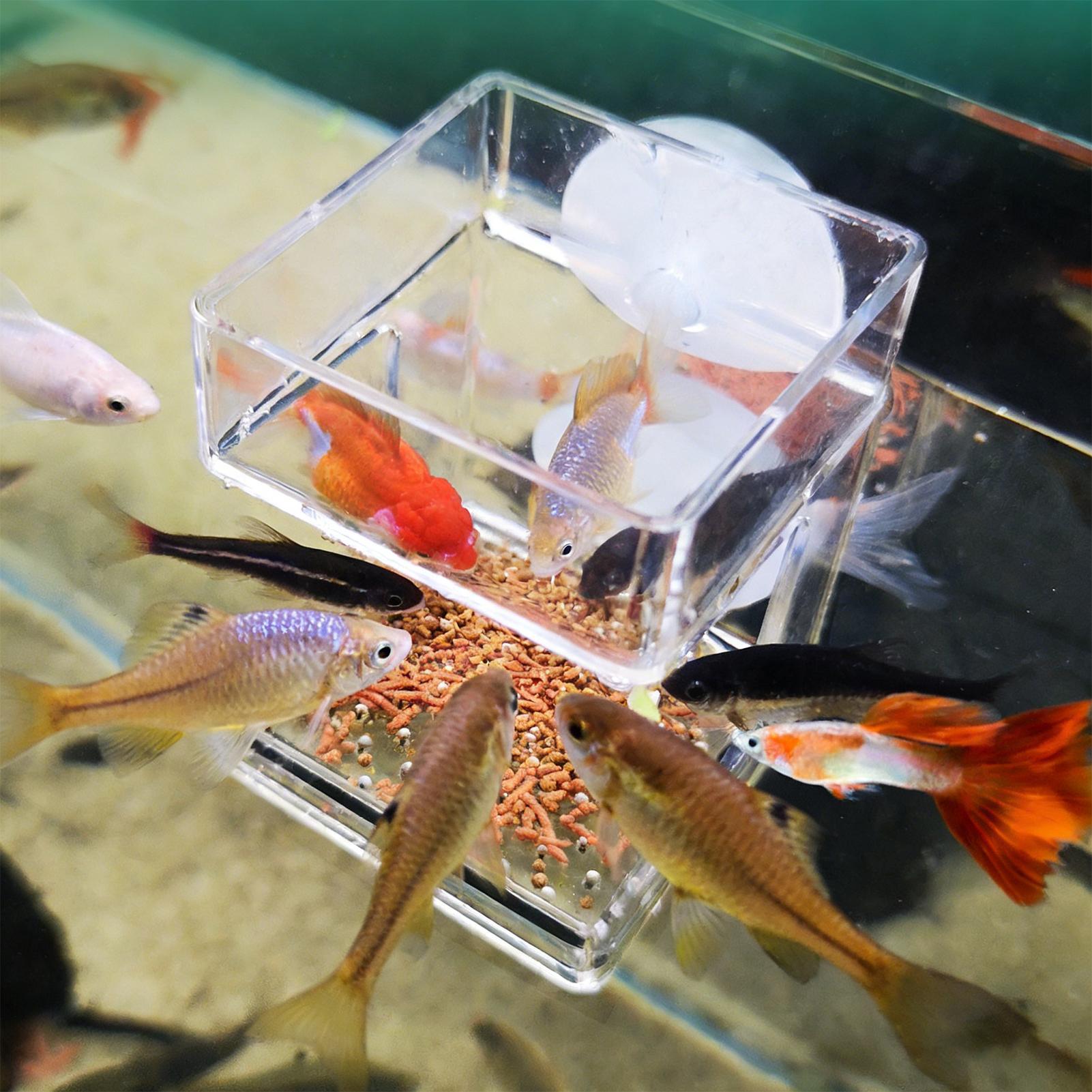 Comedero para Acuario con Vent - Tetra Fish In Aquarium reseña y precio