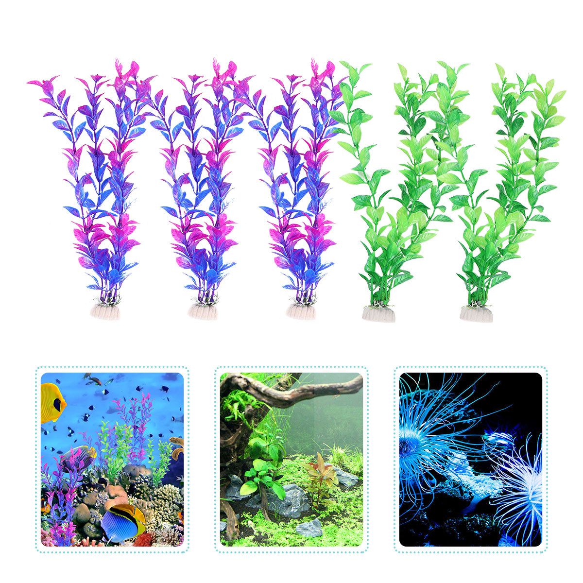 Juego de 10 Plantas Acuáticas  - Aquarium Fish Low Maintenance reseña y precio