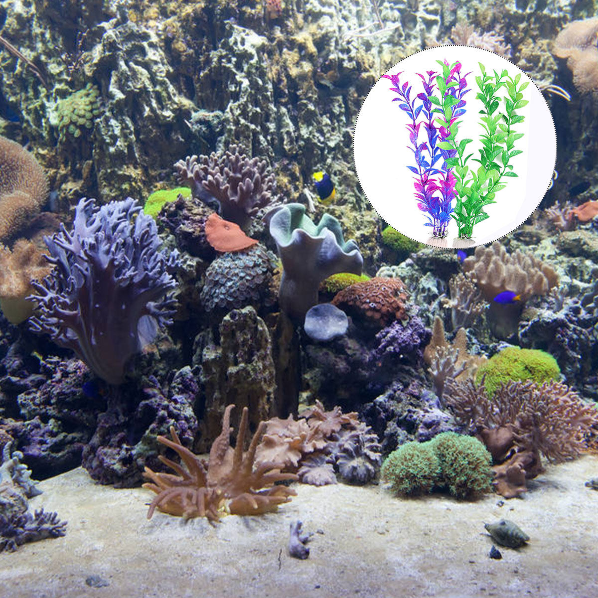 Juego de 10 Plantas Acuáticas  - Aquarium Fish Low Maintenance reseña y precio