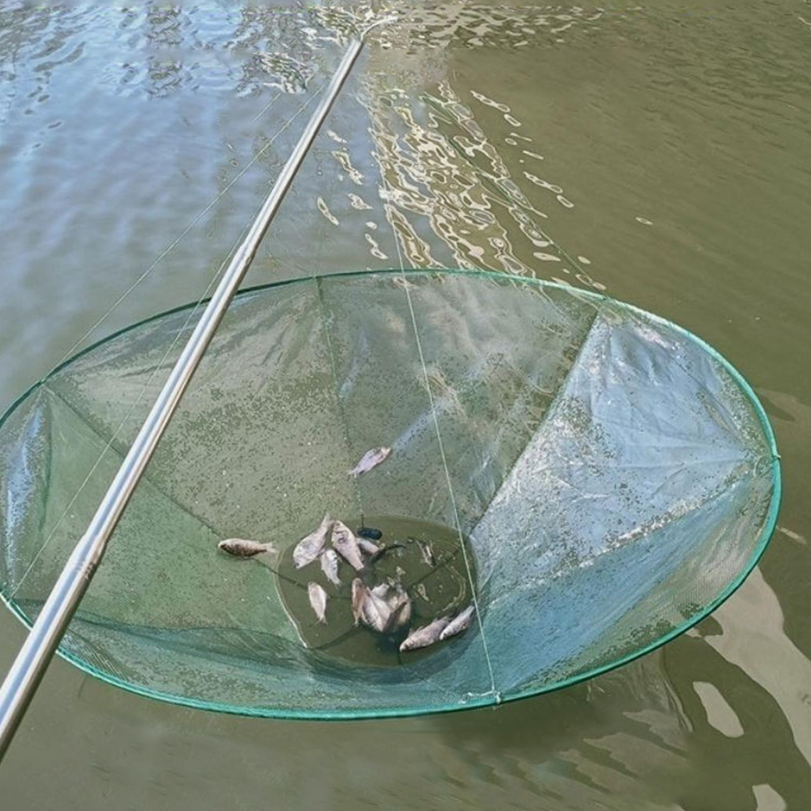 Red de pesca de aro de acero b - Fish Net Handle reseña y precio