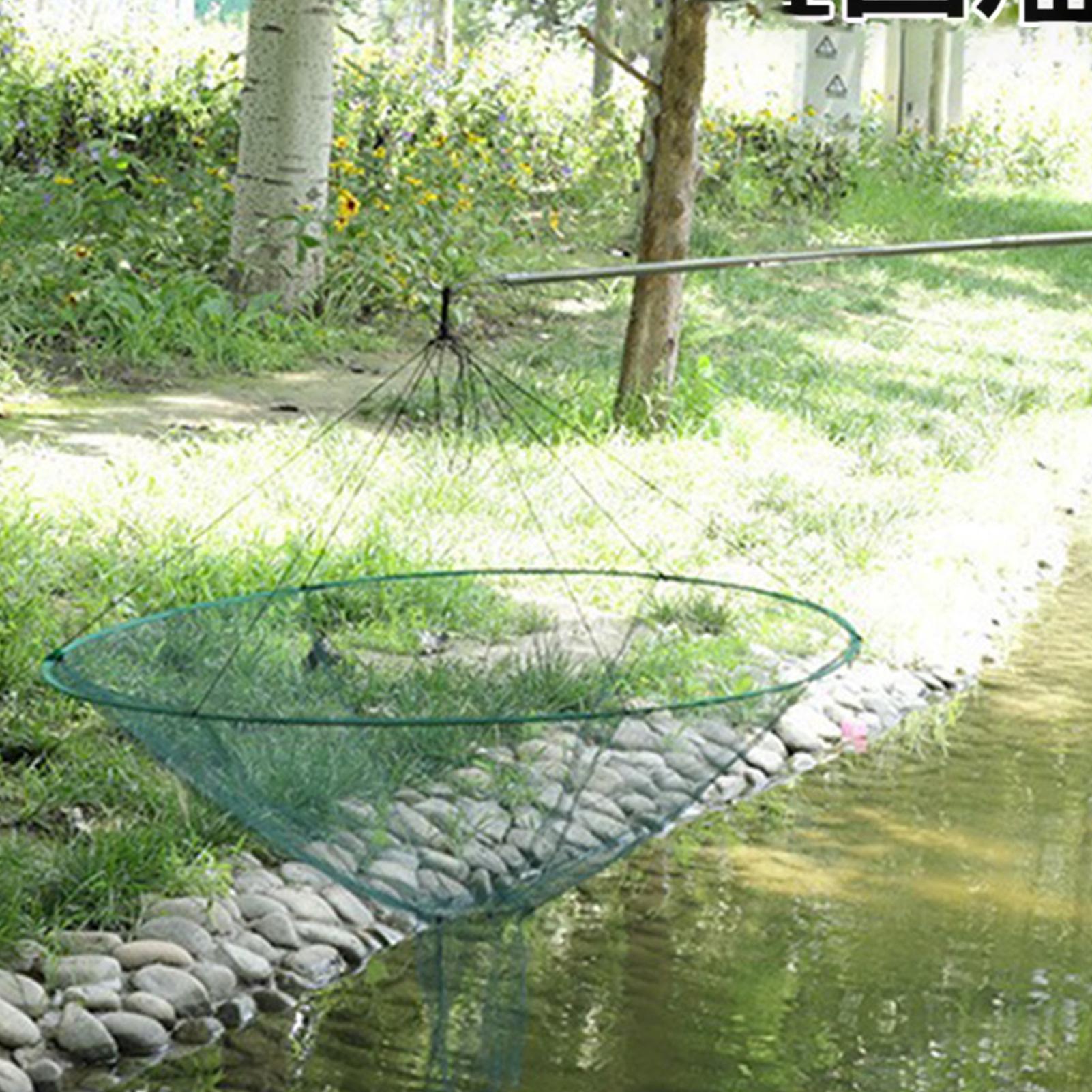 Red de pesca de aro de acero b - Fish Net Handle reseña y precio