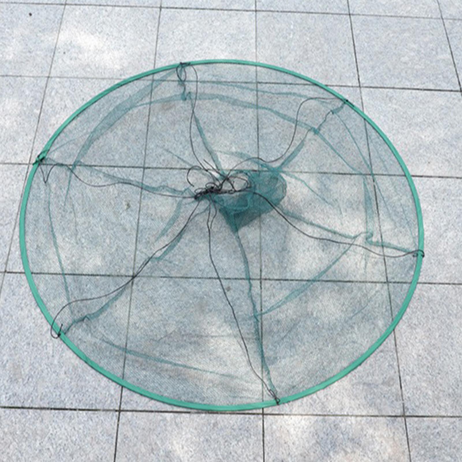 Red de pesca de aro de acero b - Fish Net Handle reseña y precio