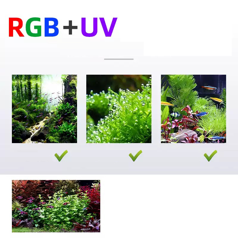 Iluminación Led 60cm 80cm 90cm - Aquarium Fish For Sale reseña y precio