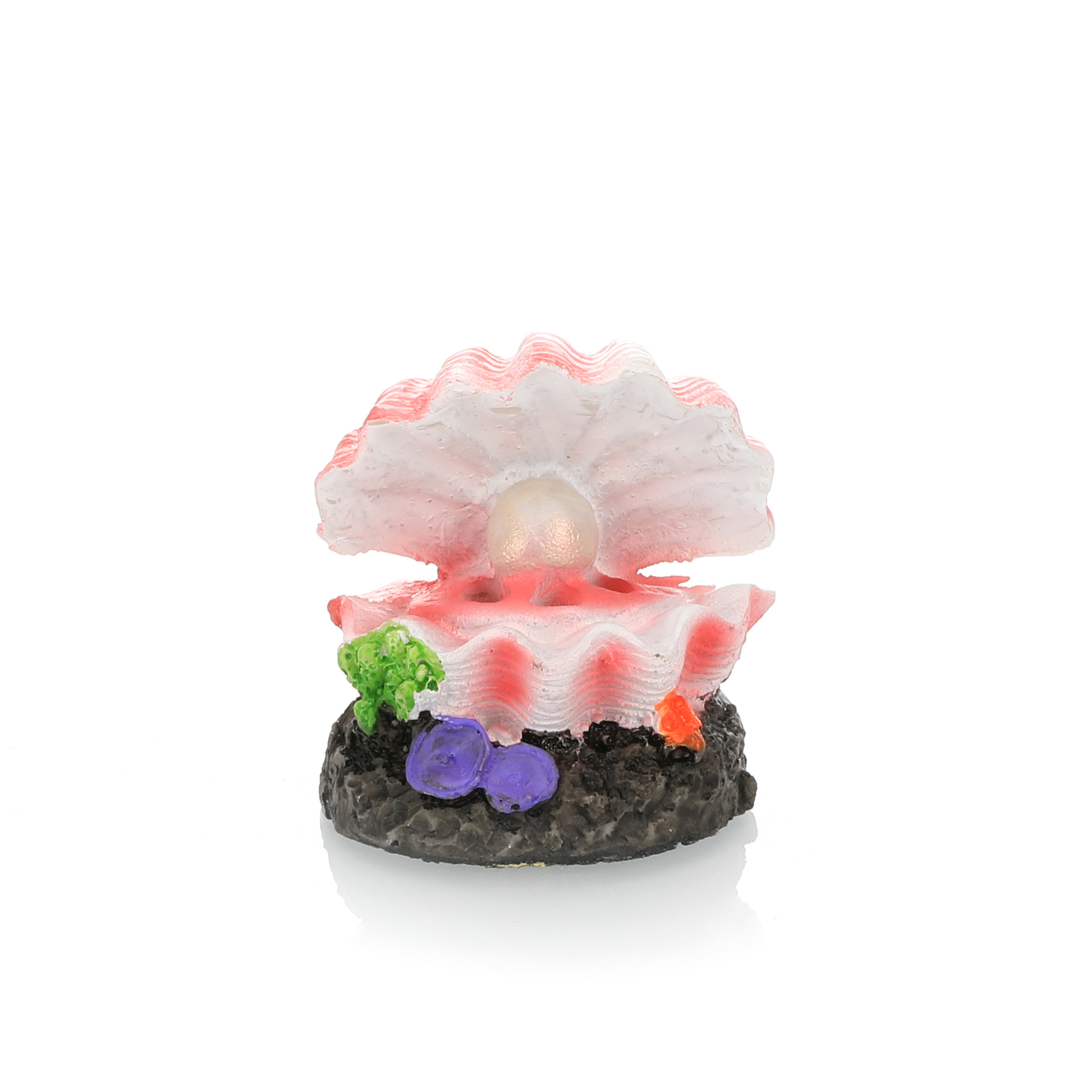 Simulación de paisajismo para  - Aquarium Fish Tank Price reseña y precio
